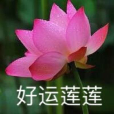 民进党当局屡称“台湾不缺电” 被台媒最新民调“一面倒”结果打脸